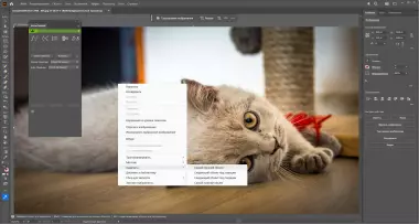 Adobe Illustrator 2026 30.1.0.136 + Plug-ins (x64) Portable by 7997