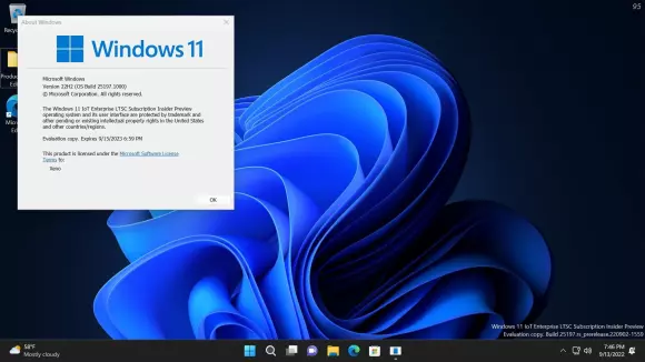 Windows 11 Enterprise LTSC 2024 Build-26100.1742