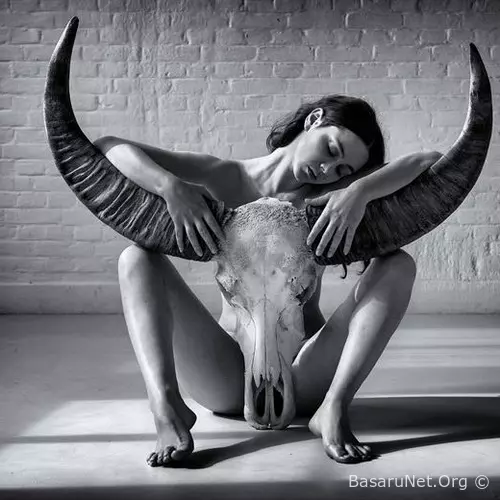 Exotic Dance Songs Vol.428 (2026)
