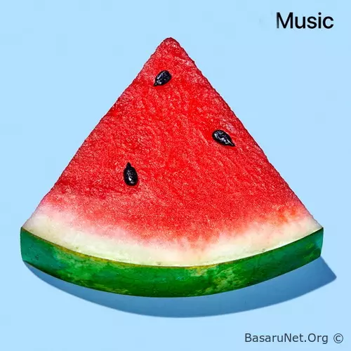 Summer Chill 2026 (2026) FLAC