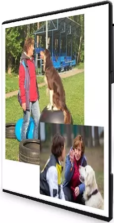 [DogWinner] Базовая подготовка к воспитанию и дрессировке собаки (2024) Видеокурс