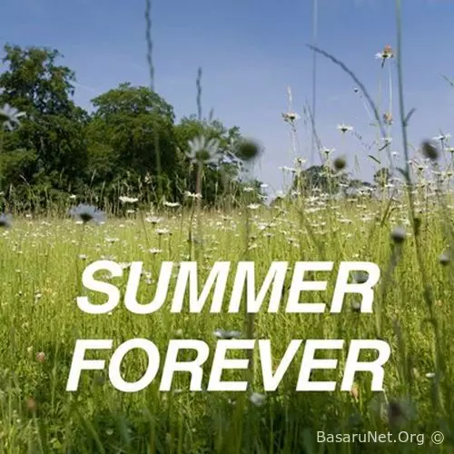 Summer Forever (2026) FLAC
