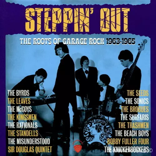 The Roots Of Garage Rock 1963-1965 (3CD) (2026) FLAC