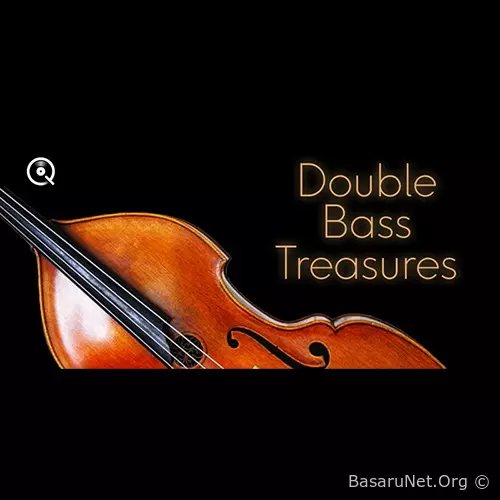Double Bass Treasures (2026) FLAC