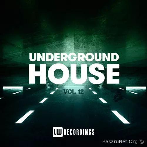 Underground Sounds House Vol. 12 (2026) FLAC