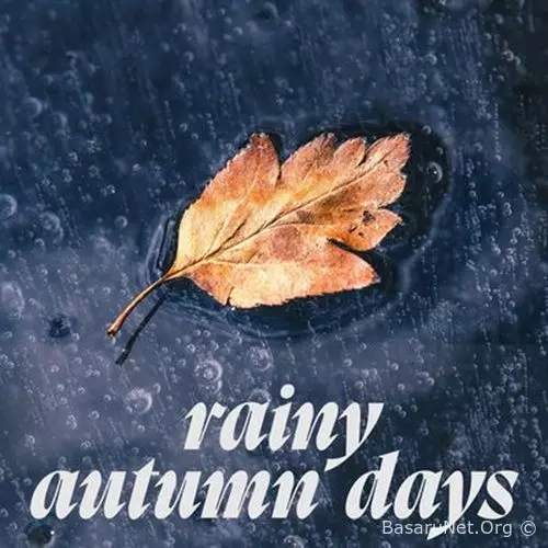 Rainy Autumn Days (2026)  FLAC