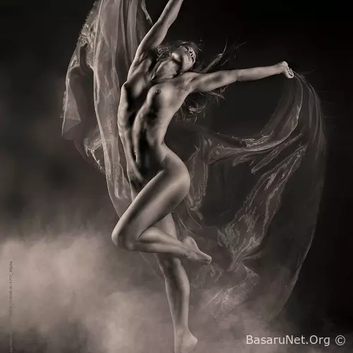 Exotic Dance Songs Vol.436 (2026)