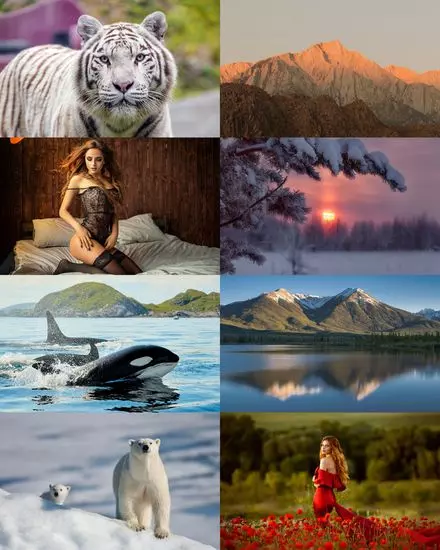 Wallpapers Mix №2060